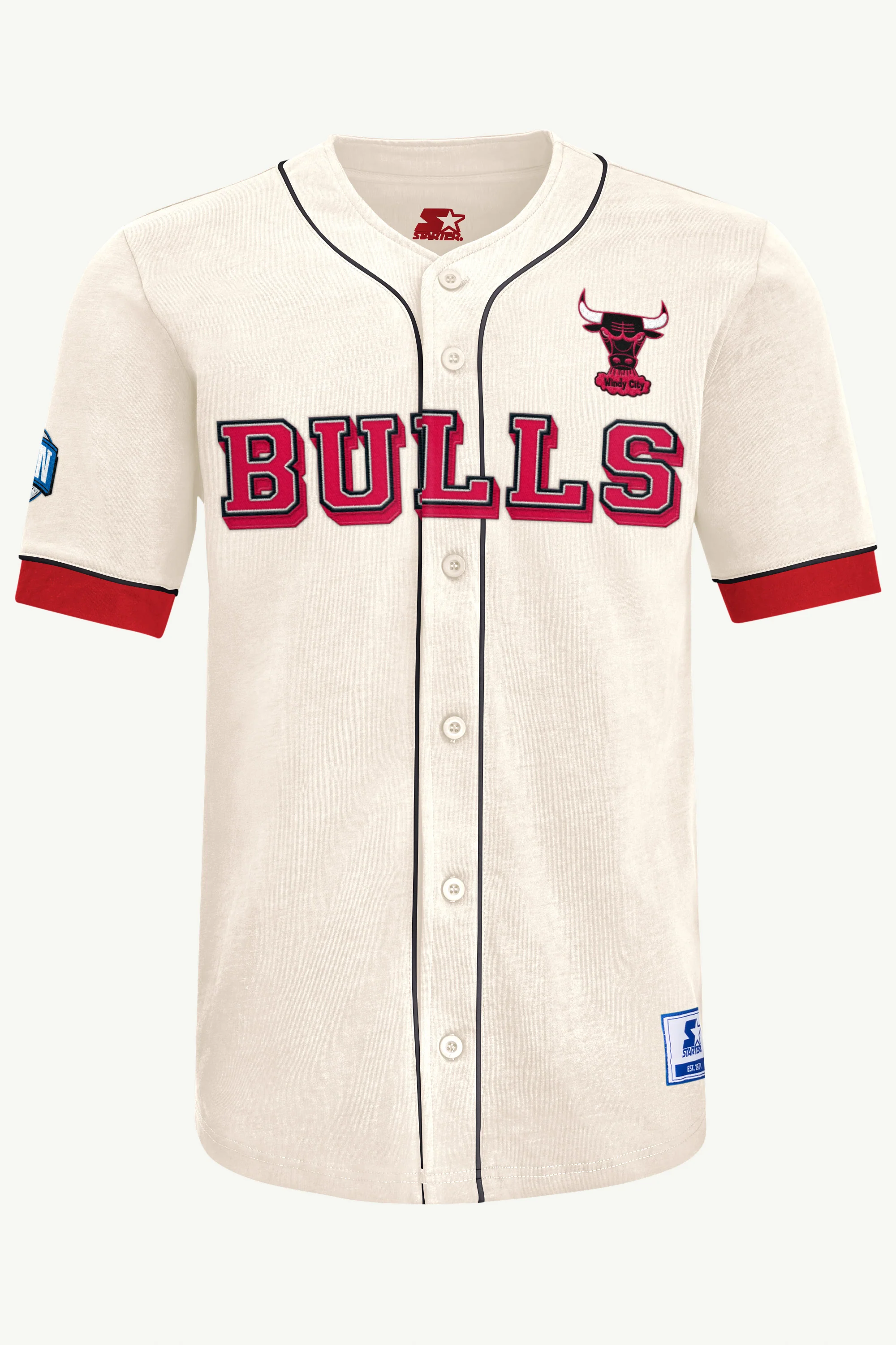 MENS CHICAGO BULLS JERSEY