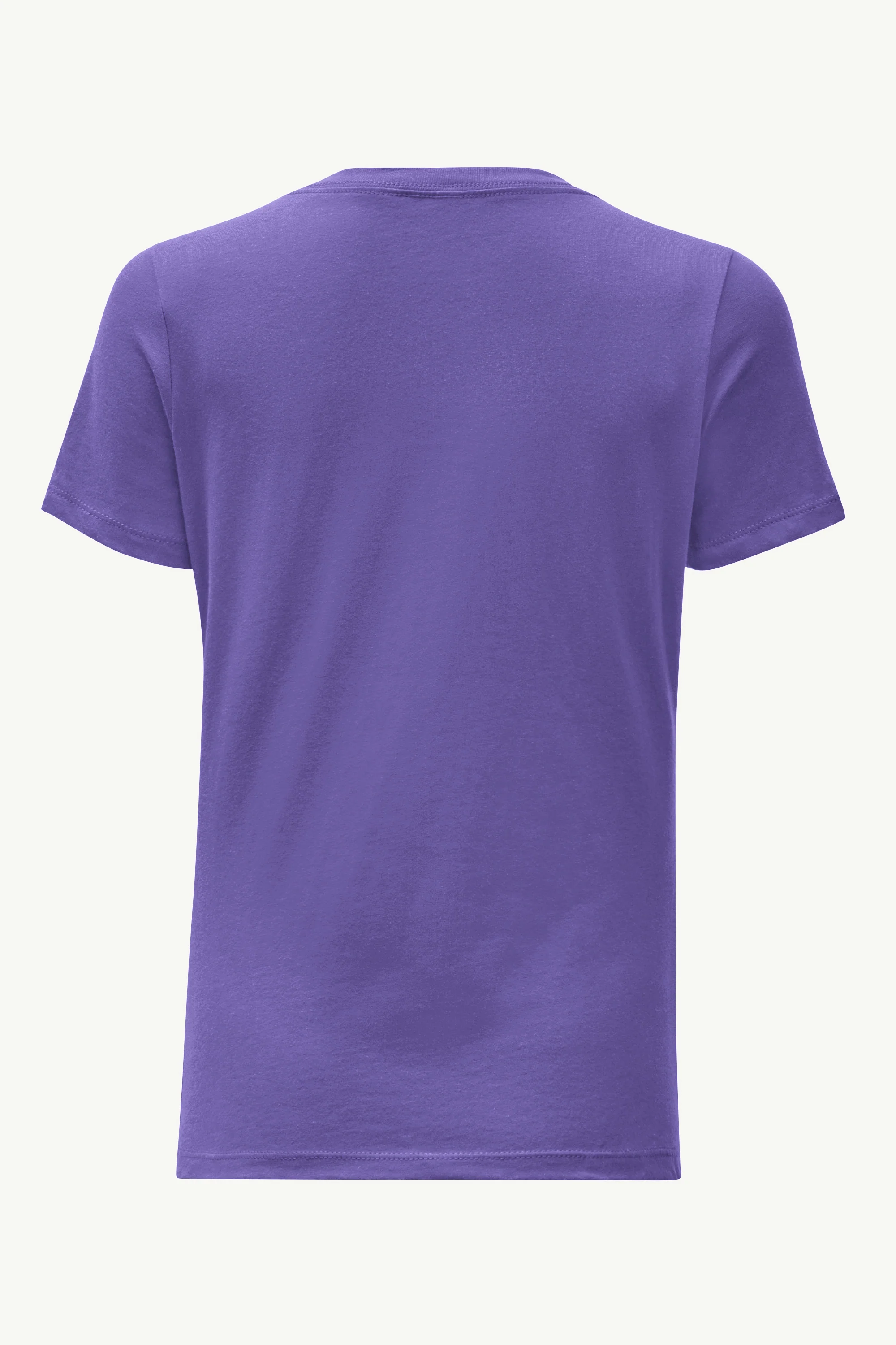 WOMENS COLORADO ROCKIES POSTER PRINT V NECK T SHIRT - Image 2